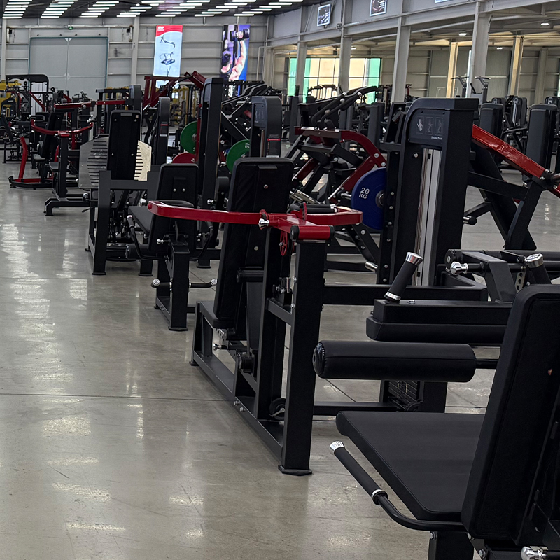 Multifunctionele stalen fitnes - Home Gym Equipment recensie en prijs