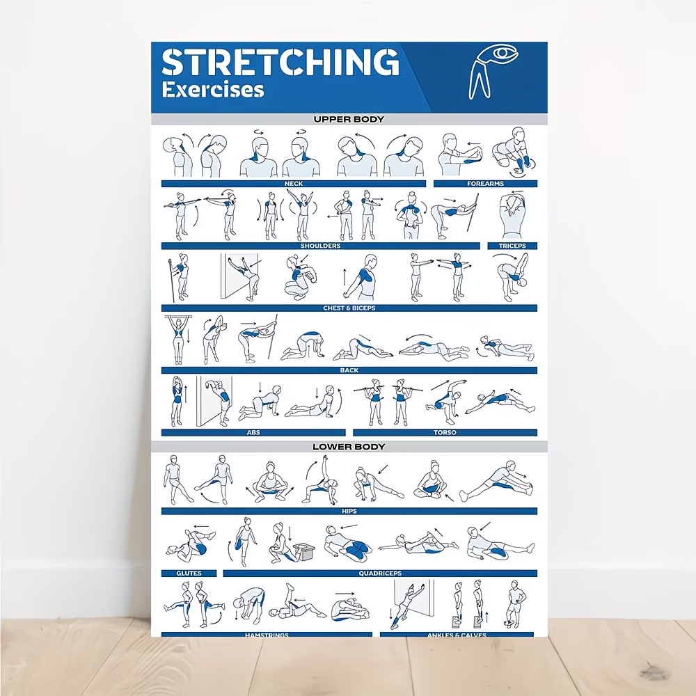Moderne gelabelde full-body st - Home Gym Full Body recensie en prijs
