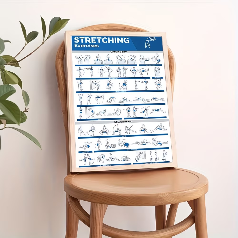 Moderne gelabelde full-body st - Home Gym Full Body recensie en prijs